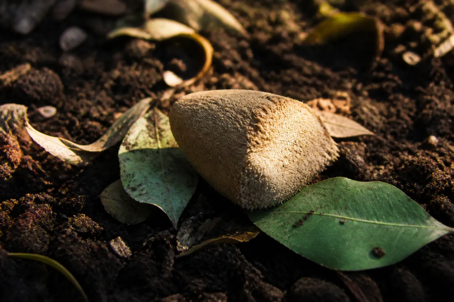 Biodegradable makeup sponges: our 30-day wear test